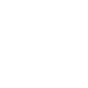 End-to-end transparency through immutable systems